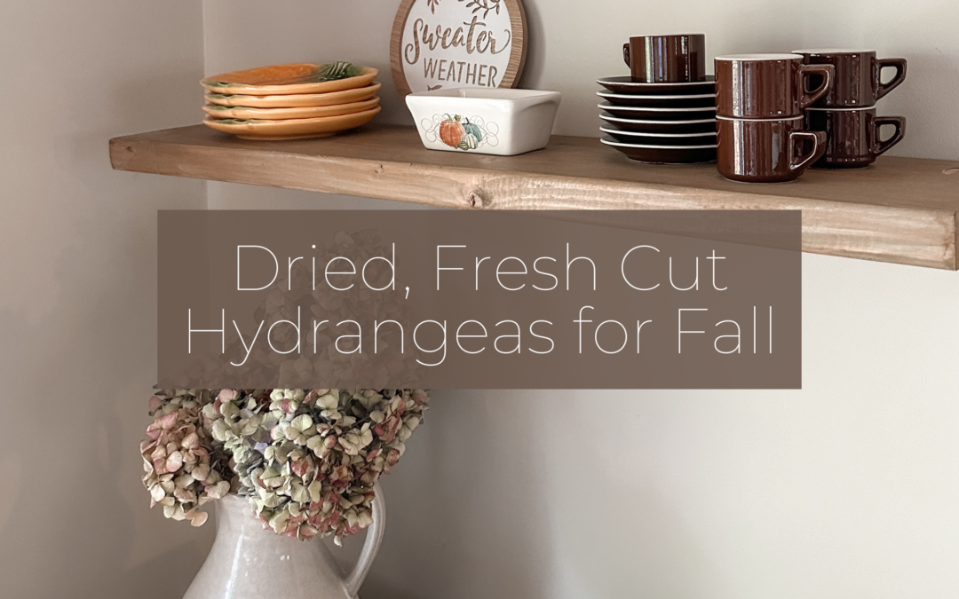 Decorate with Dried Fresh Cut Hydrangeas for Fall Decor